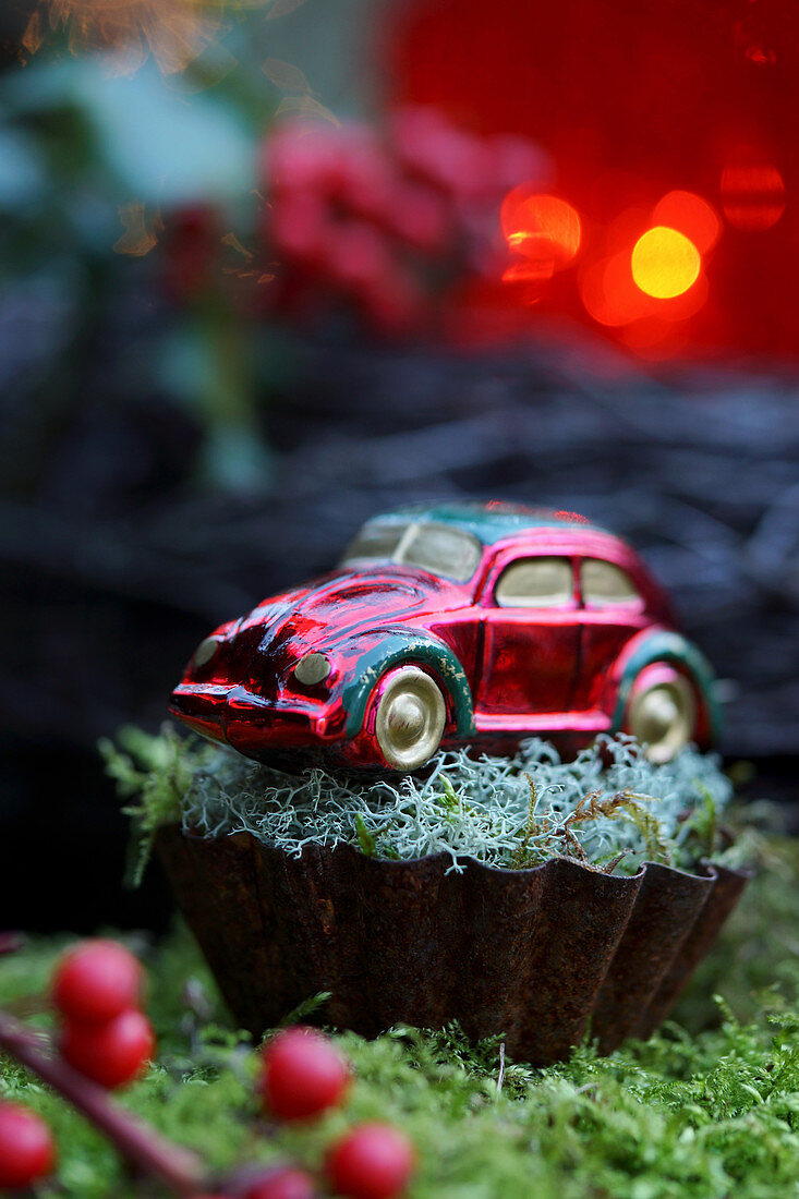 Winter arrangement of barbed-wire plant and toy car in vintage cake tin
