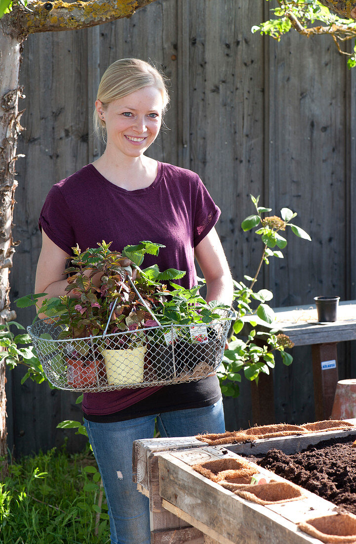 Self-made raised bed from pallets