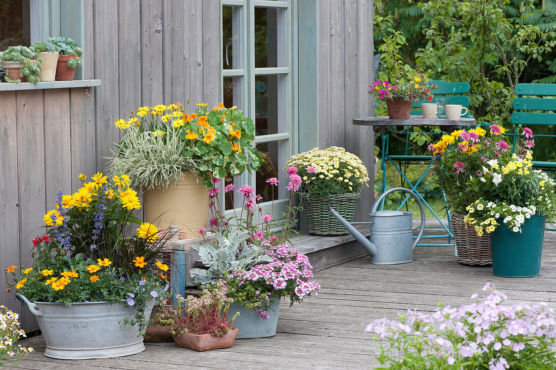 Bunte Sommerterrasse mit Stauden und Sommerblumen