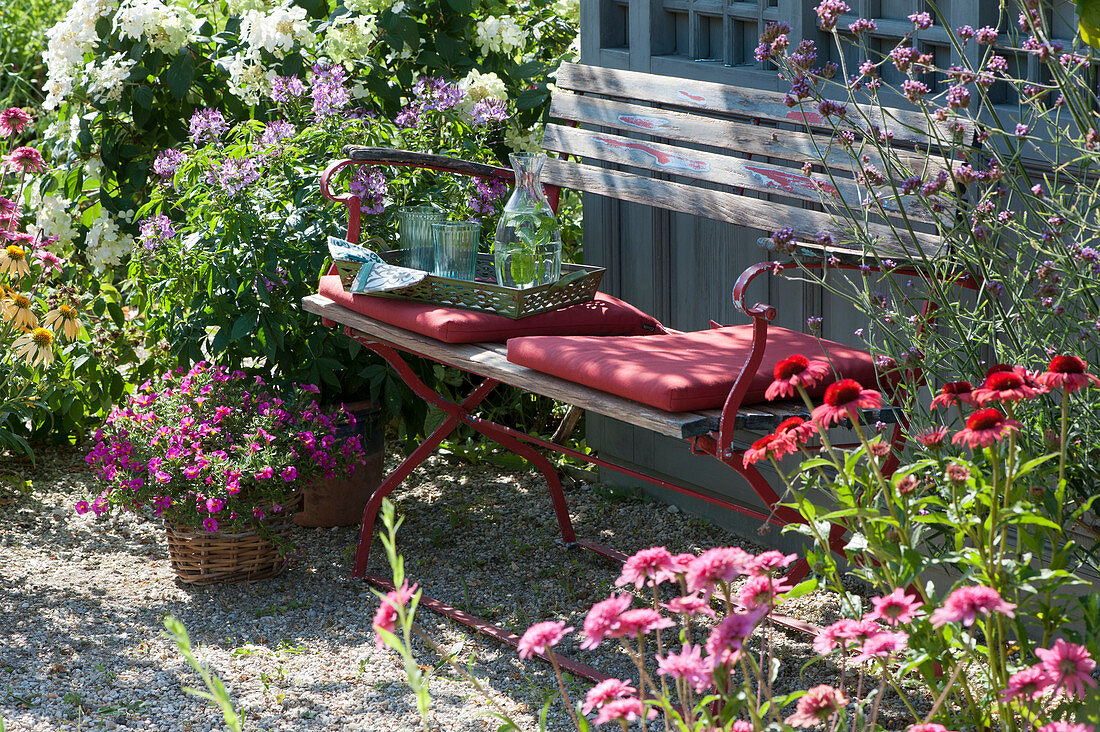Seating at the garden house, spider flower, magic bell, shrub hydrangea and coneflower