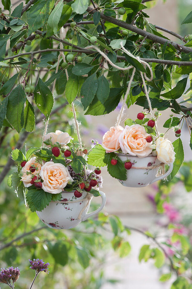 Small bouquets of roses and wild strawberries in cups hung on a branch