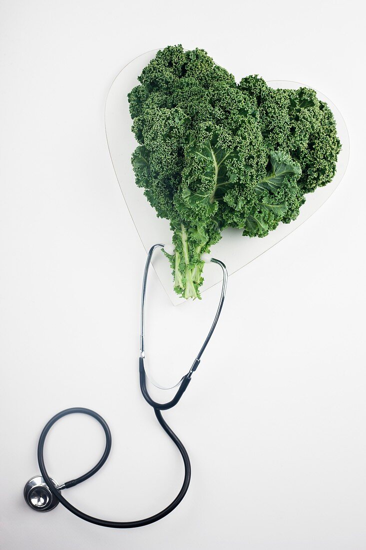 Heart shaped kale leaves and stethoscope