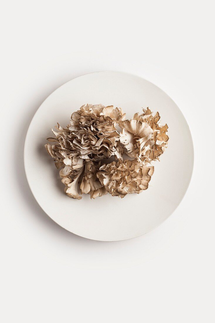 A plate of maitake mushrooms