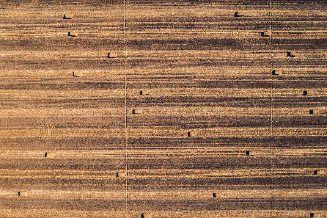Aerial view of hay bales in field after harvest