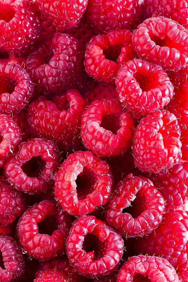 Close-up of fresh raspberries