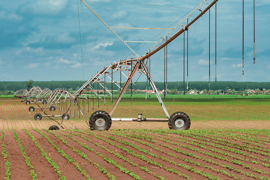 Pivot irrigation system in soybean and corn field