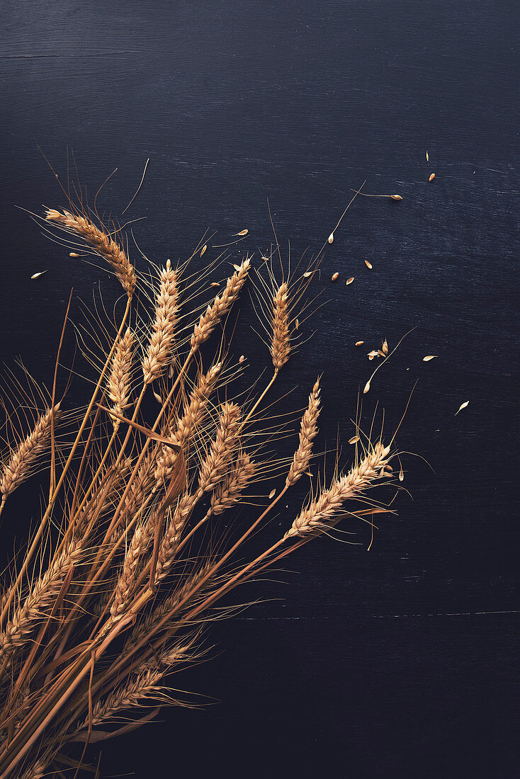 Ears of wheat and grains