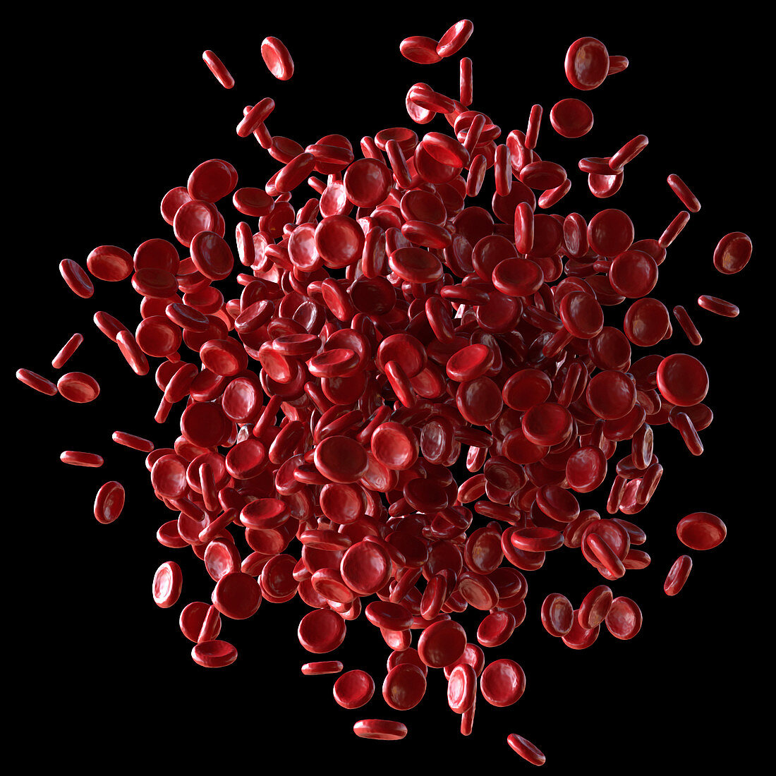 Red blood cells,illustration