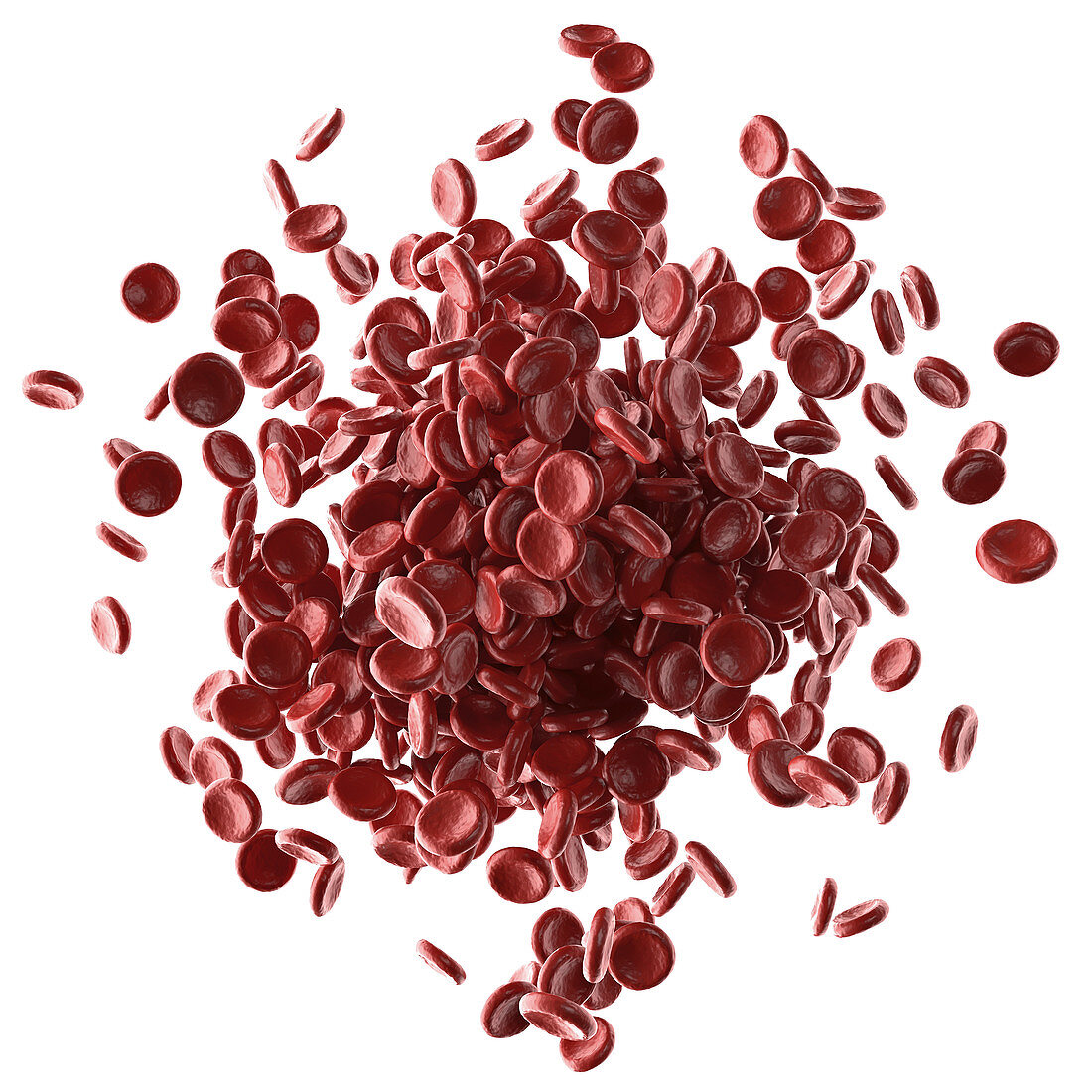 Red blood cells,illustration