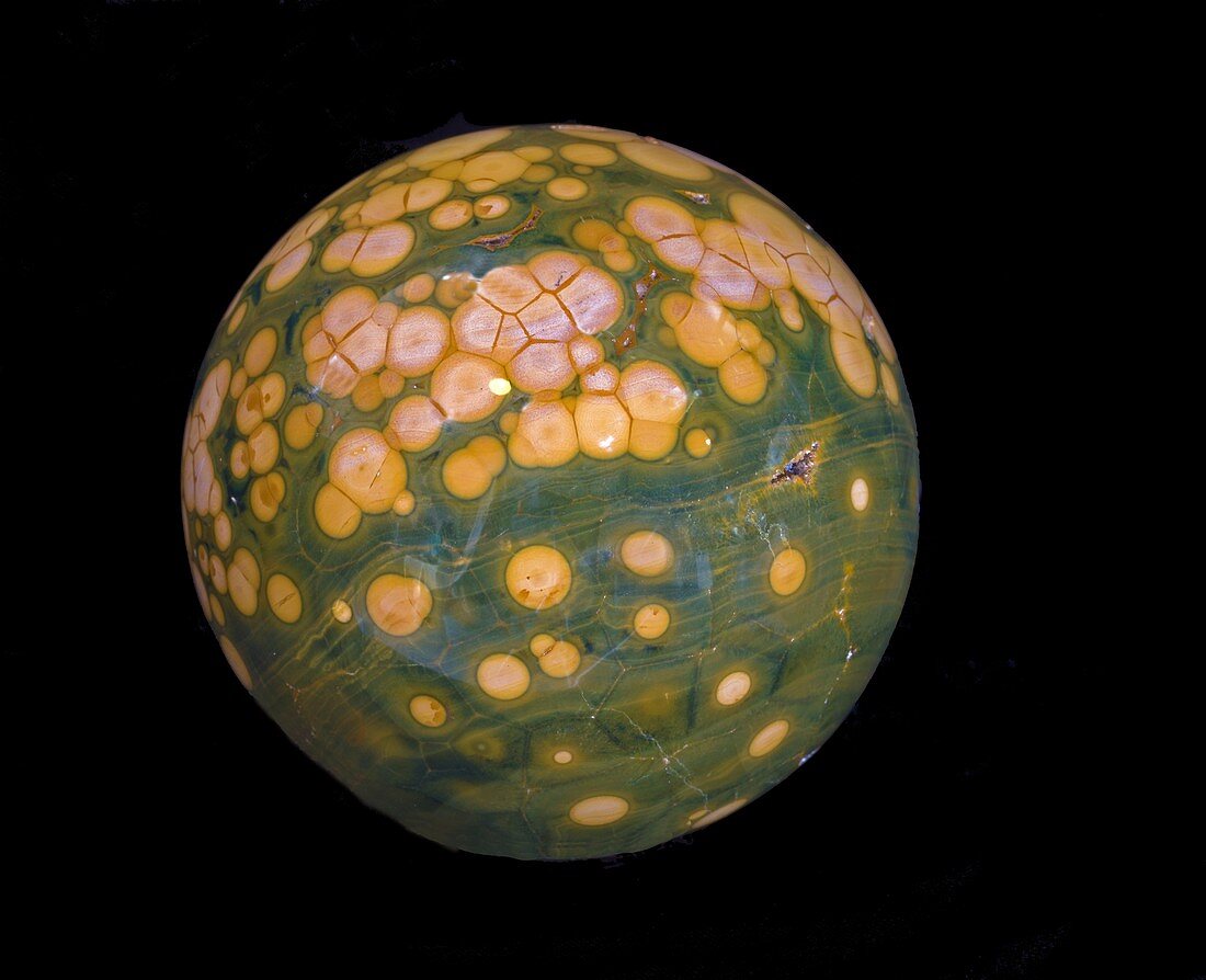Polished sphere of orbicular jasper