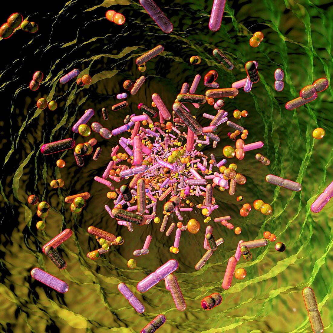 Human microbiome, conceptual illustration