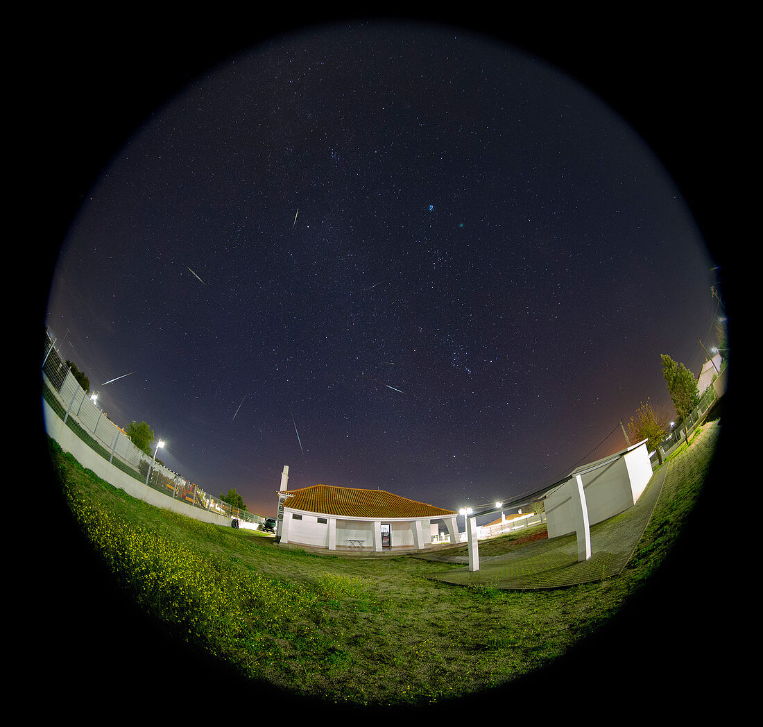 Comet 46P Wirtanen with Geminid meteor shower