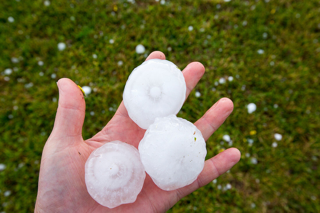 Large hailstones from a thunderstorm, France