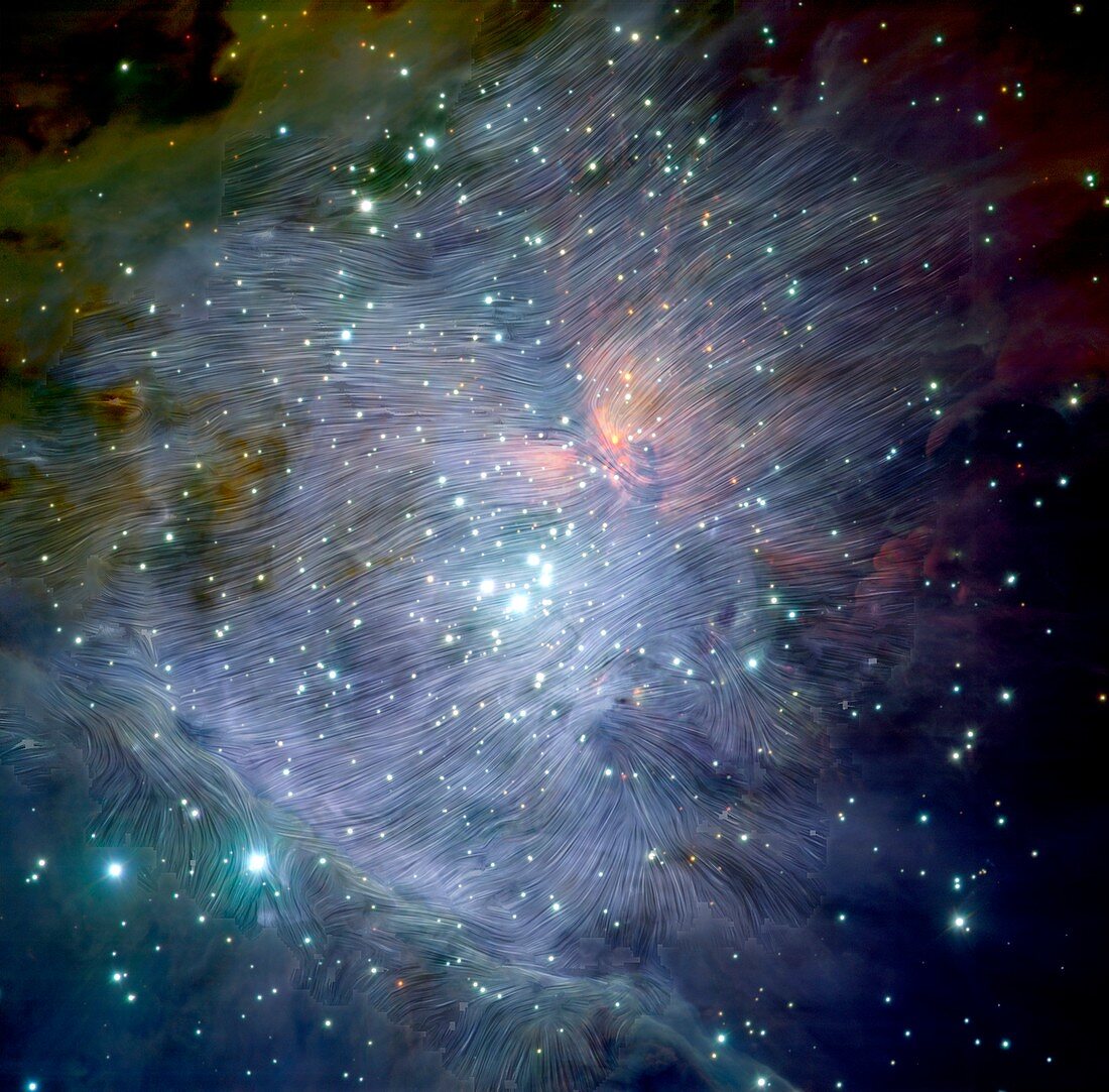Magnetic Fields in the Orion Nebula, optical image