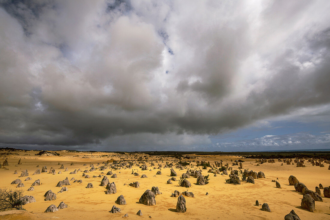 Cumulus clouds over Pinnacles Desert, Western Australia