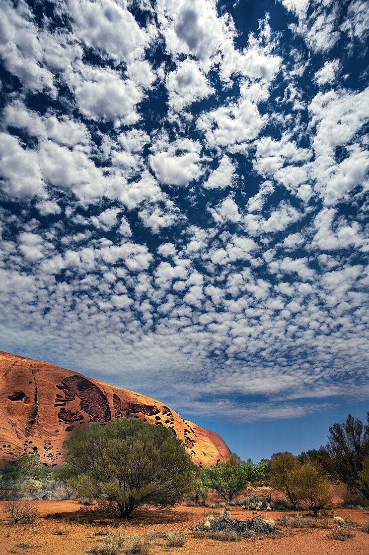 Altocumulus stratiformis clouds over Uluru