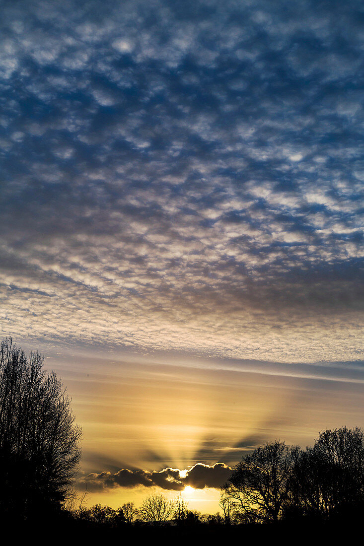 Altocumulus clouds near sunset with crepuscular rays