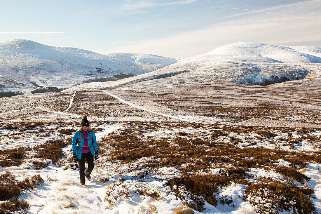 Walker on Cold Law, the Cheviots, Northumberland, UK