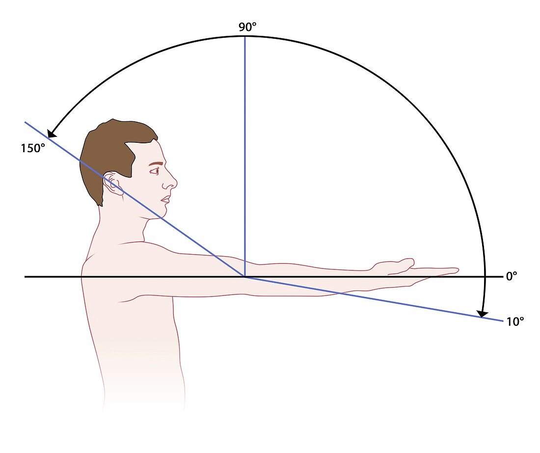 Elbow movement range, illustration