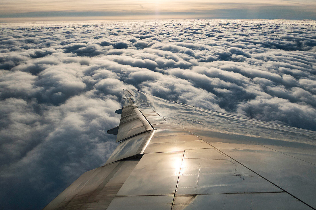 Stratocumulus clouds and aircraft wing