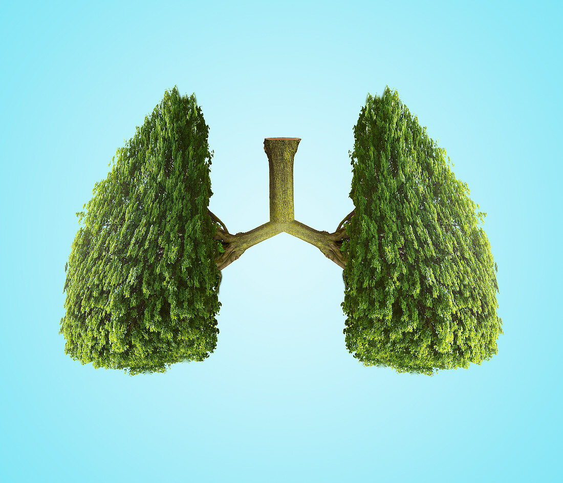 Lungs of the planet, conceptual image