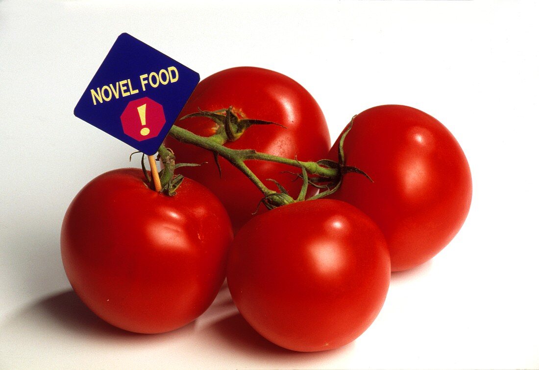 Genmanipulierte Tomaten mit Hinweisschild 'Novel Food'