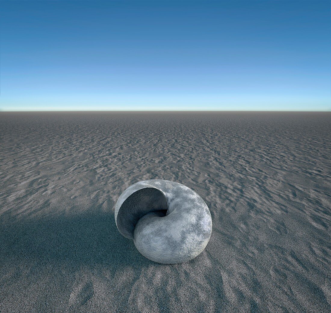 Giant shell on sand, illustration