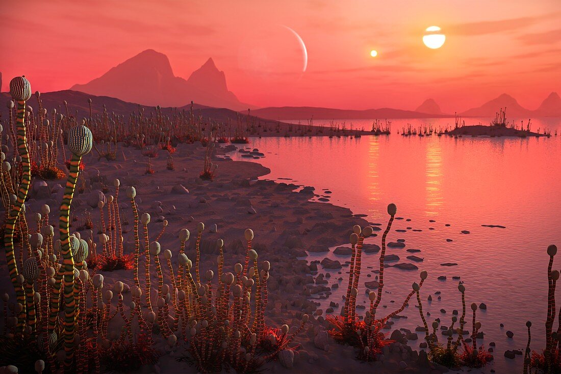 Alien plants on an exoplanet, illustration