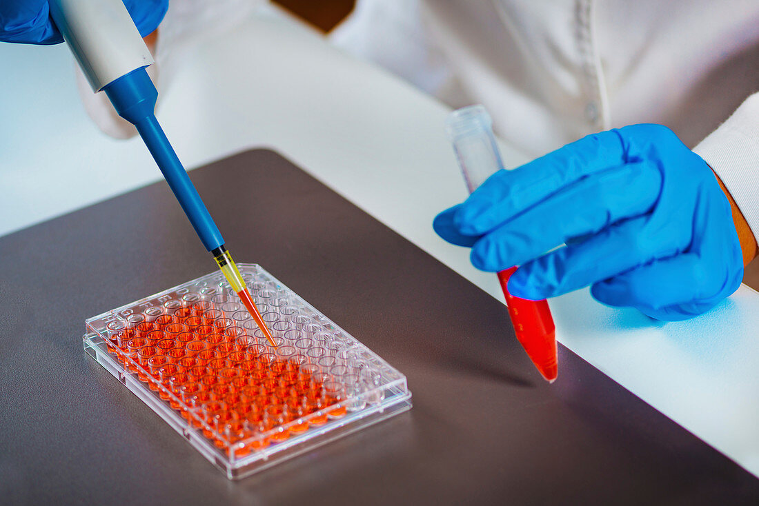 Pipetting sample