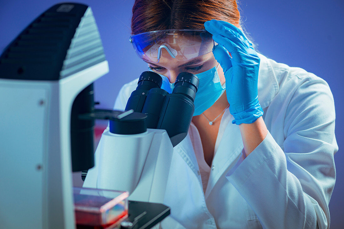 Scientist using microscope