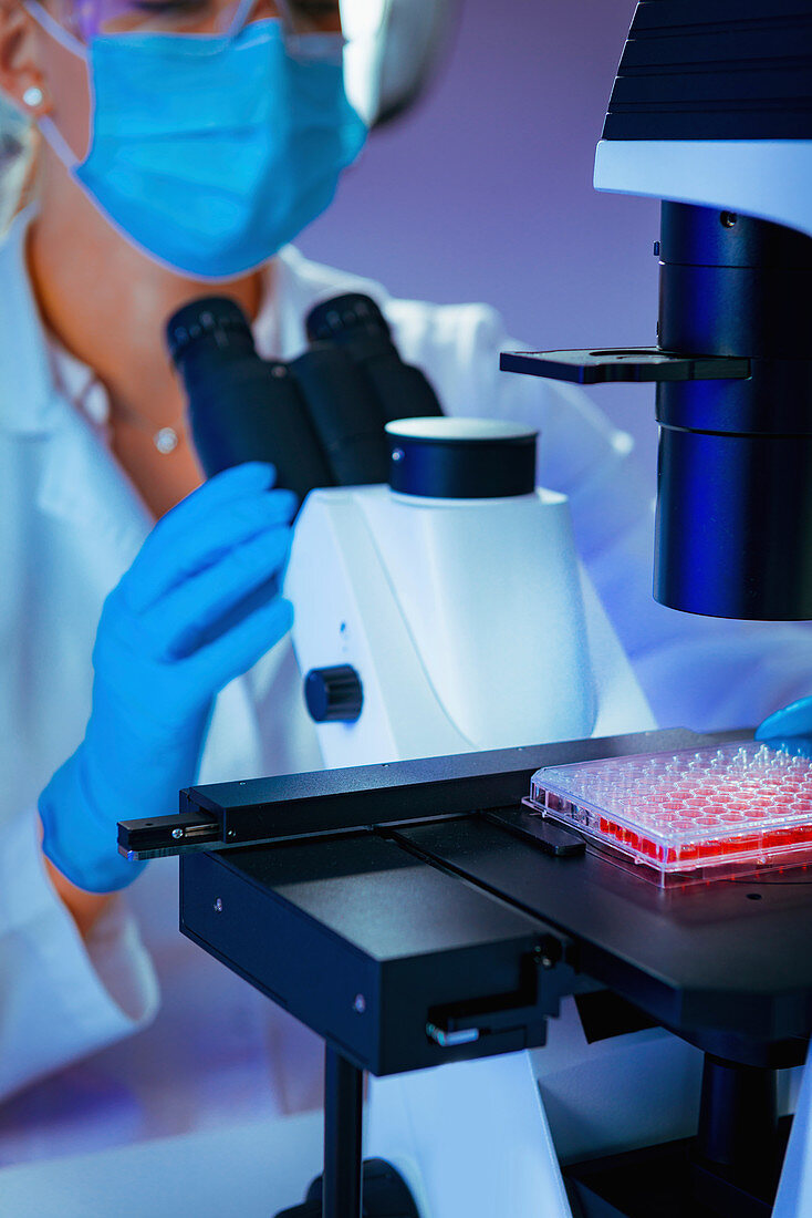 Scientist using microscope