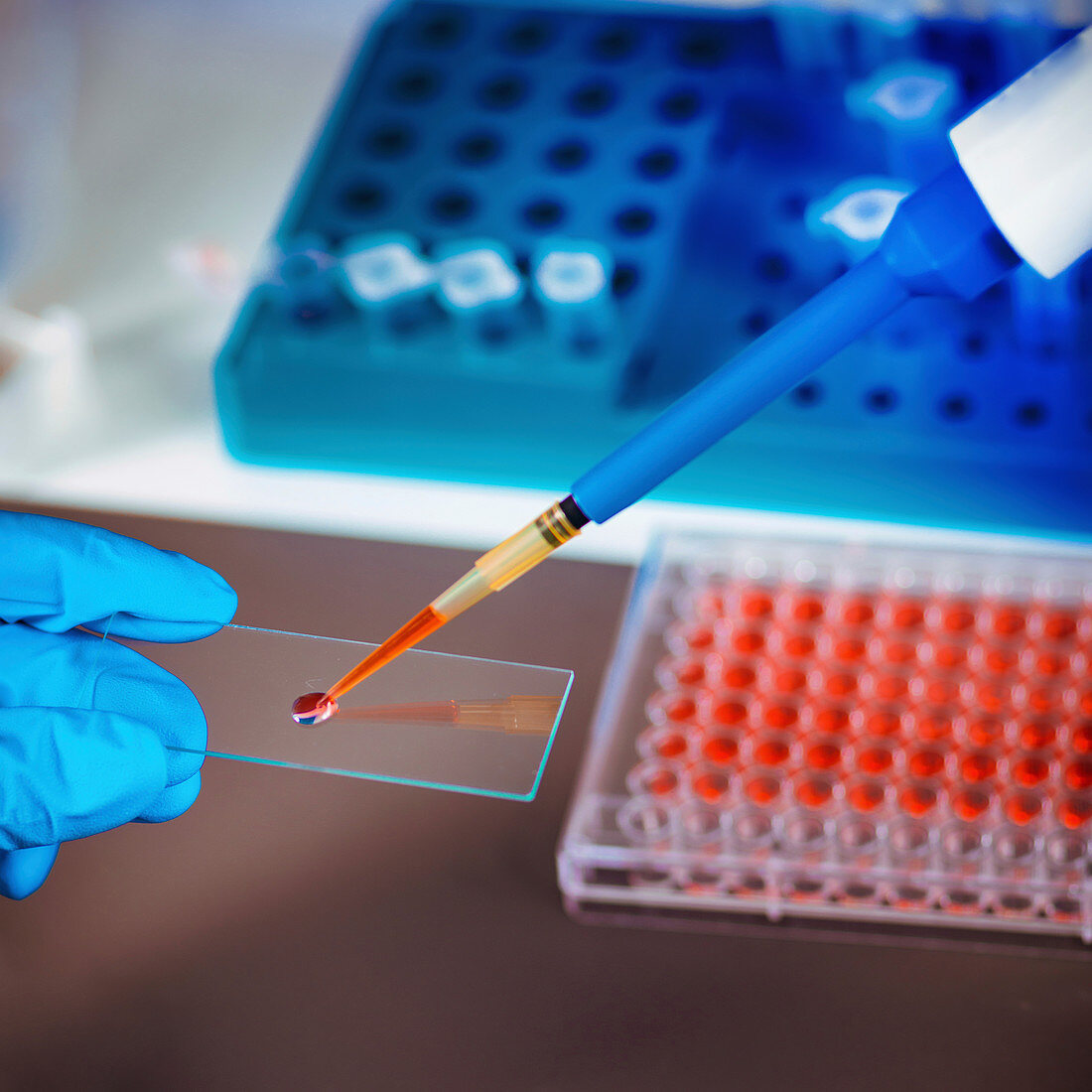 Scientist preparing microscope slide