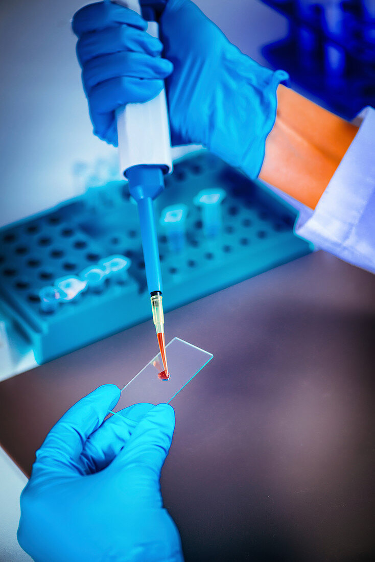 Scientist preparing microscope slide