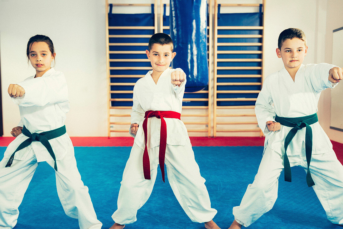 Children in taekwondo class
