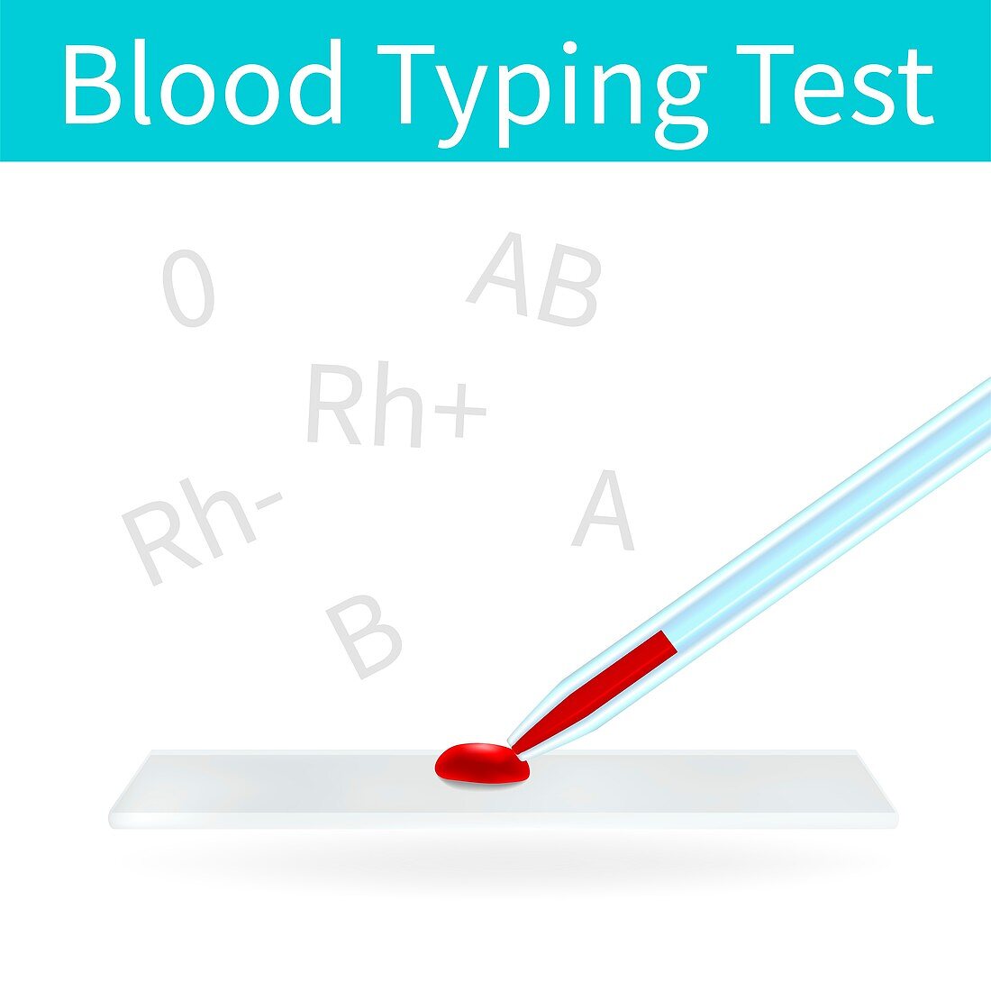 Blood typing test, illustration