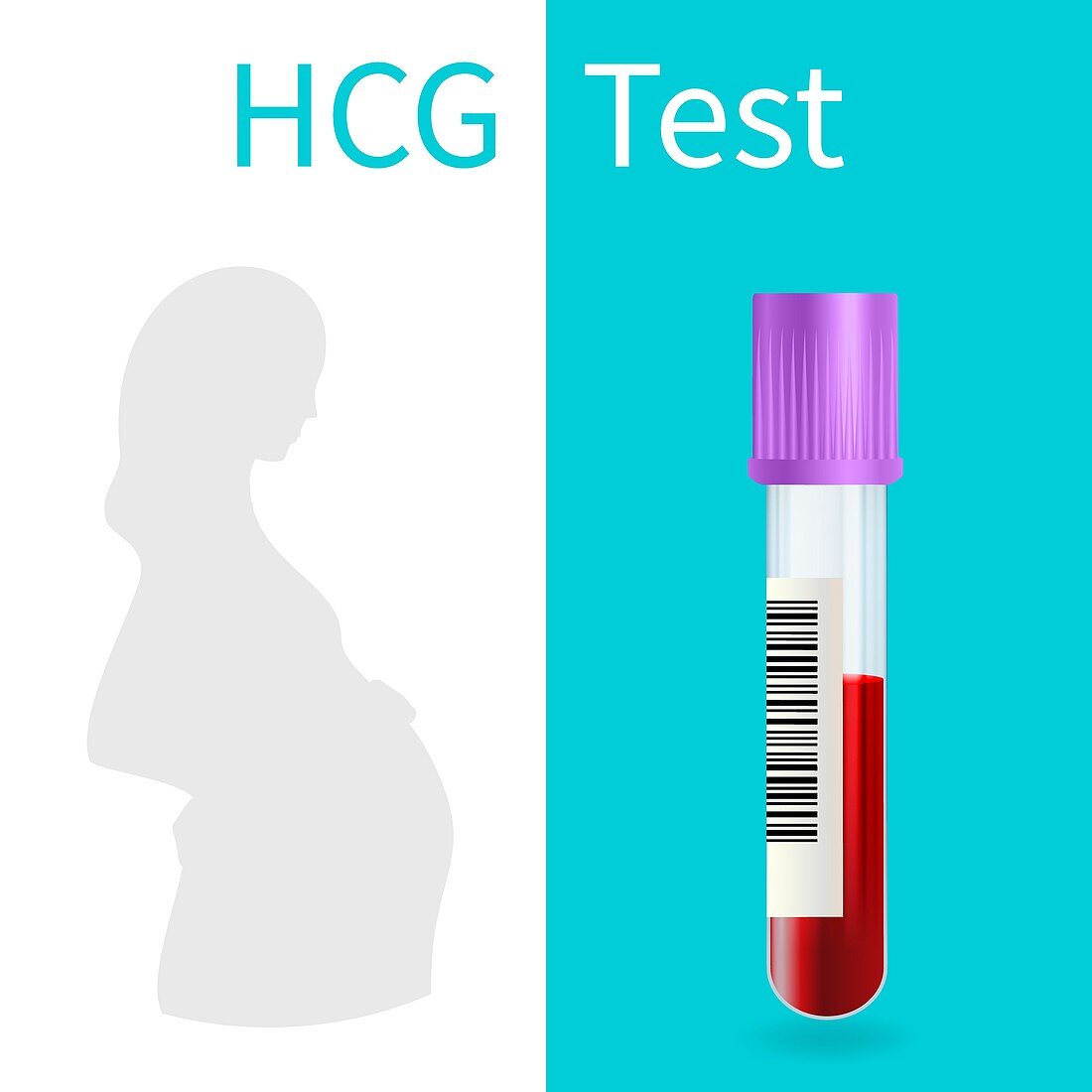 Blood pregnancy test, illustration