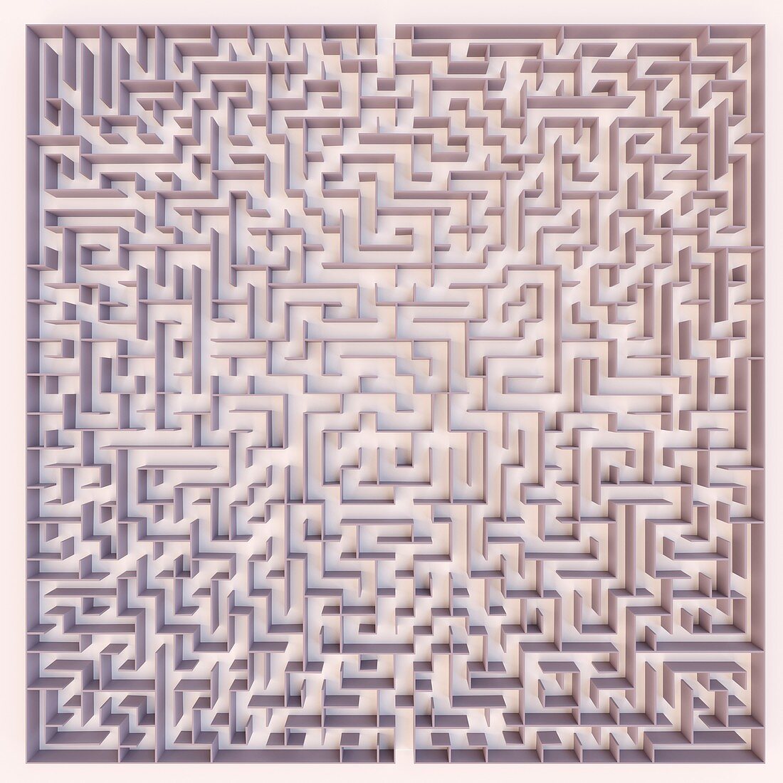 Maze, illustration