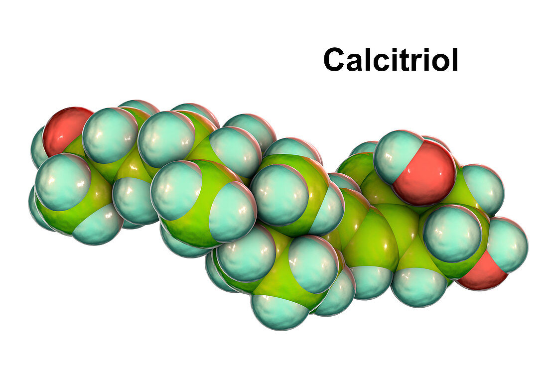 Calcitriol, molecular model