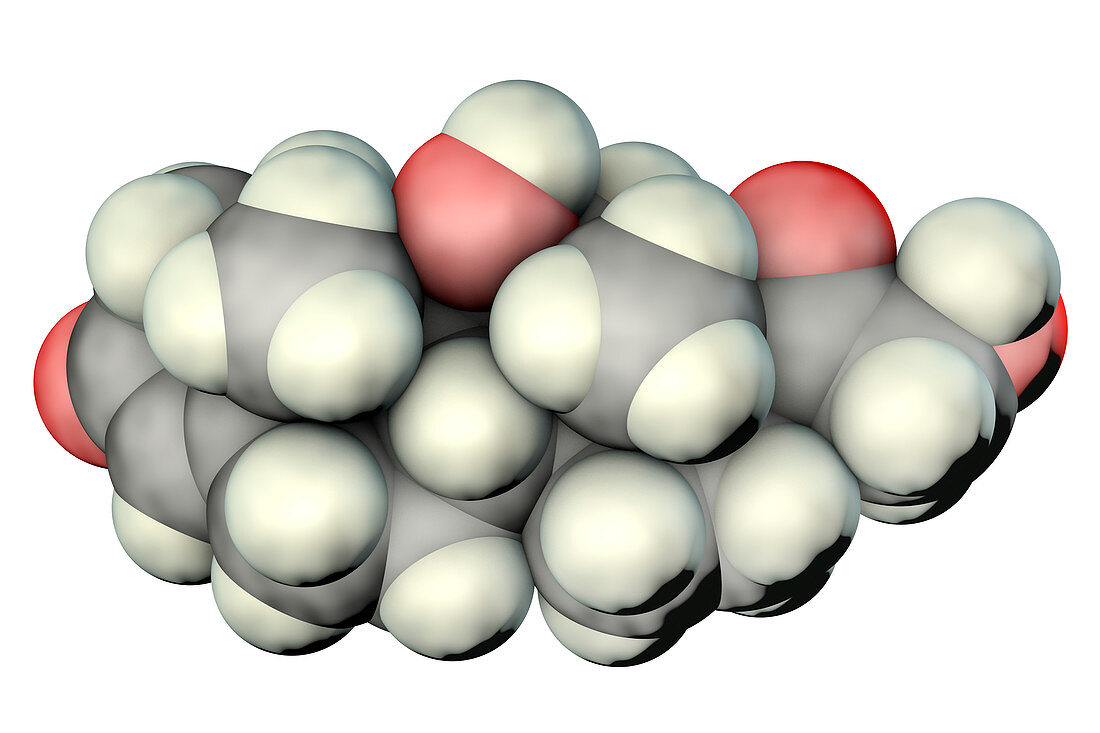 Cortisol, molecular model