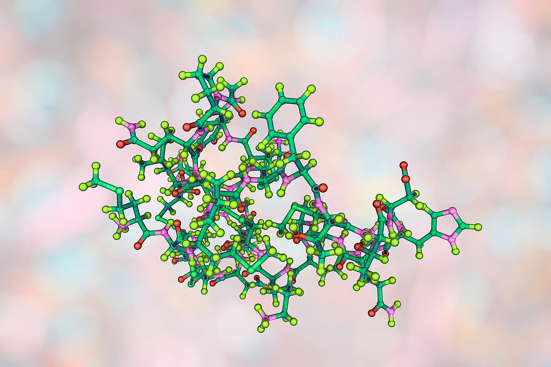 Molecule of scorpion chlorotoxin