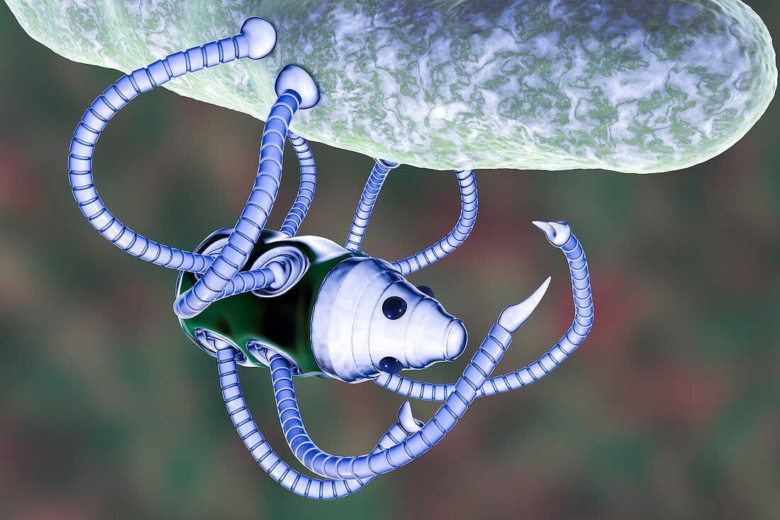 Medical nanorobot fighting with bacterium, illustration