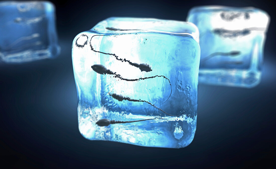Frozen sperm, conceptual illustration