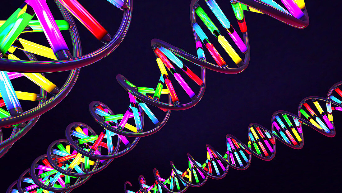 DNA molecules, illustration