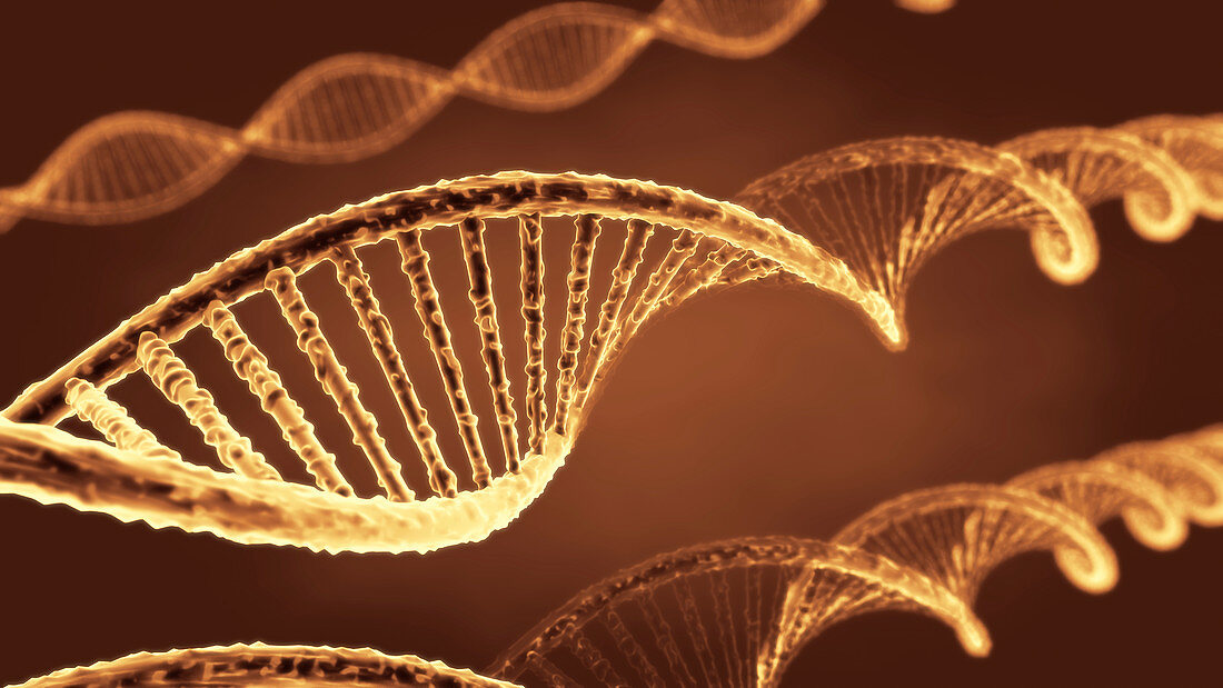 DNA molecules, illustration