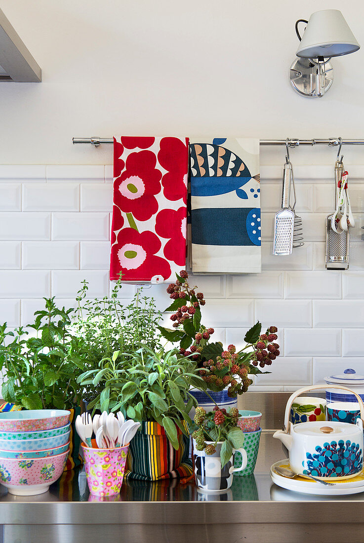 Potted herbs and colourful crockery on stainless steel kitchen worksurface