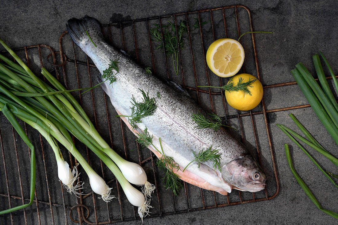 Raw loach for grilling