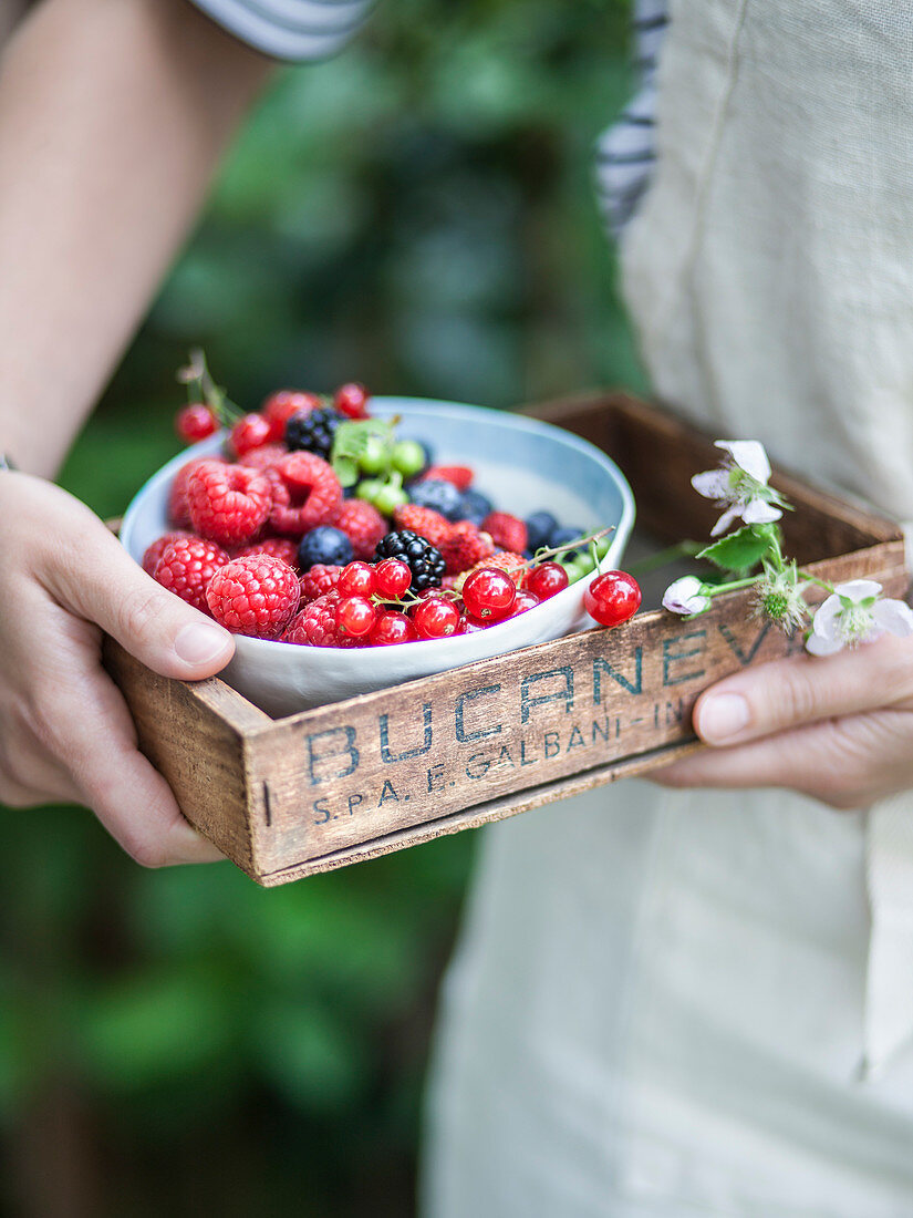 Frau hält Schüssel mit frischen Beeren in Holzkiste