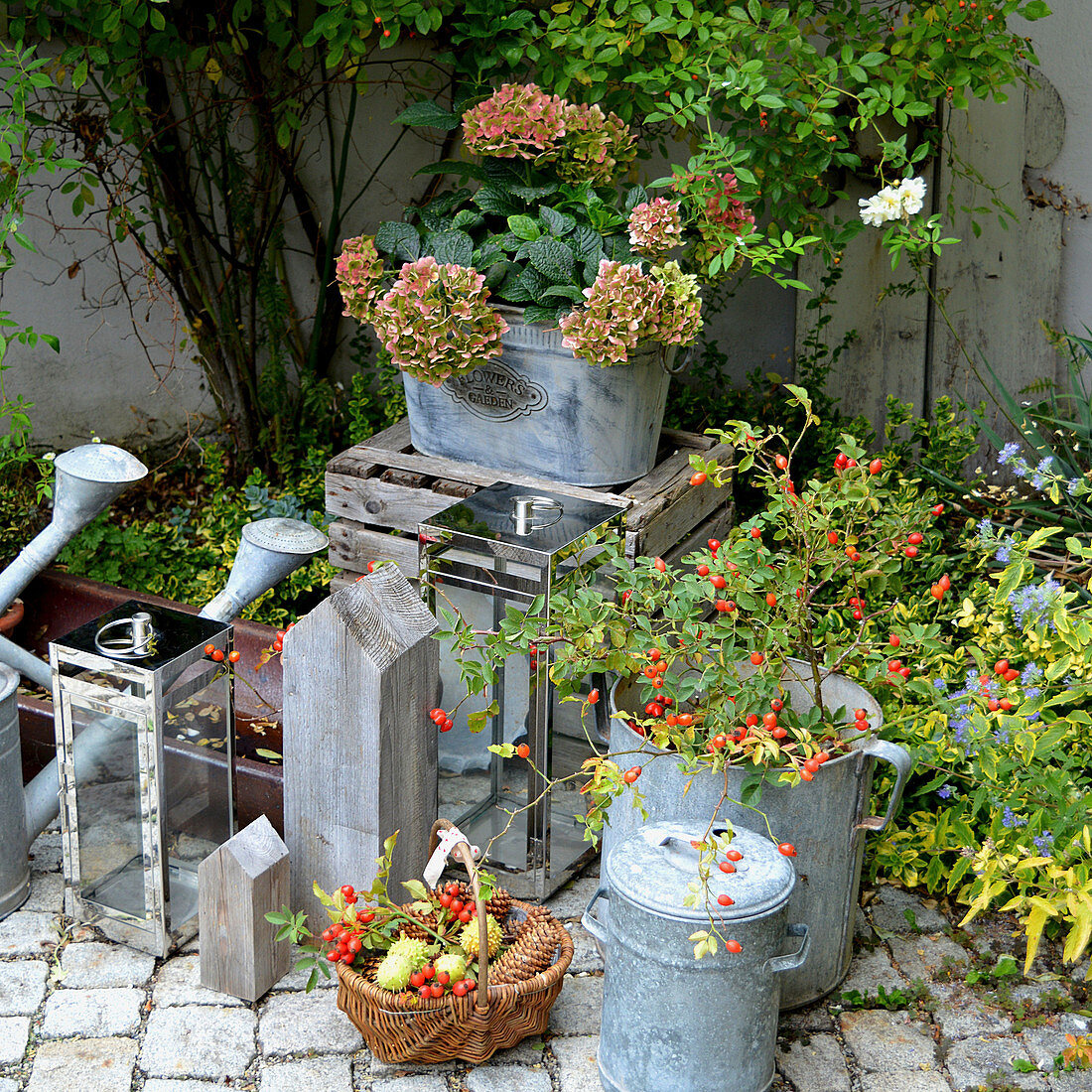 Autumn decoration with rose hips, zinc pots, and hydrangea
