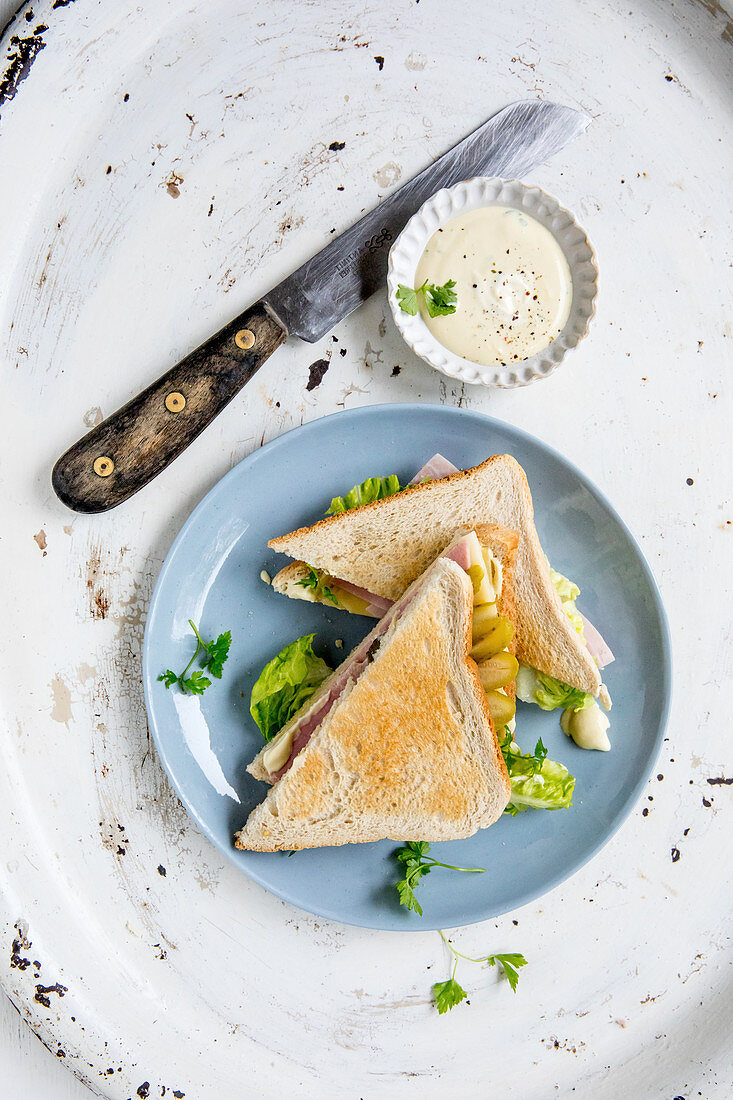 A toasted sandwich with mustard honey cream