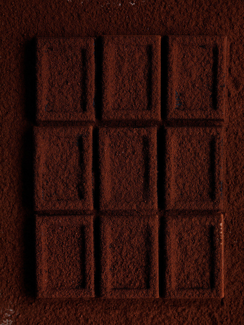 Schokoladenstücke mit Kakaopulver